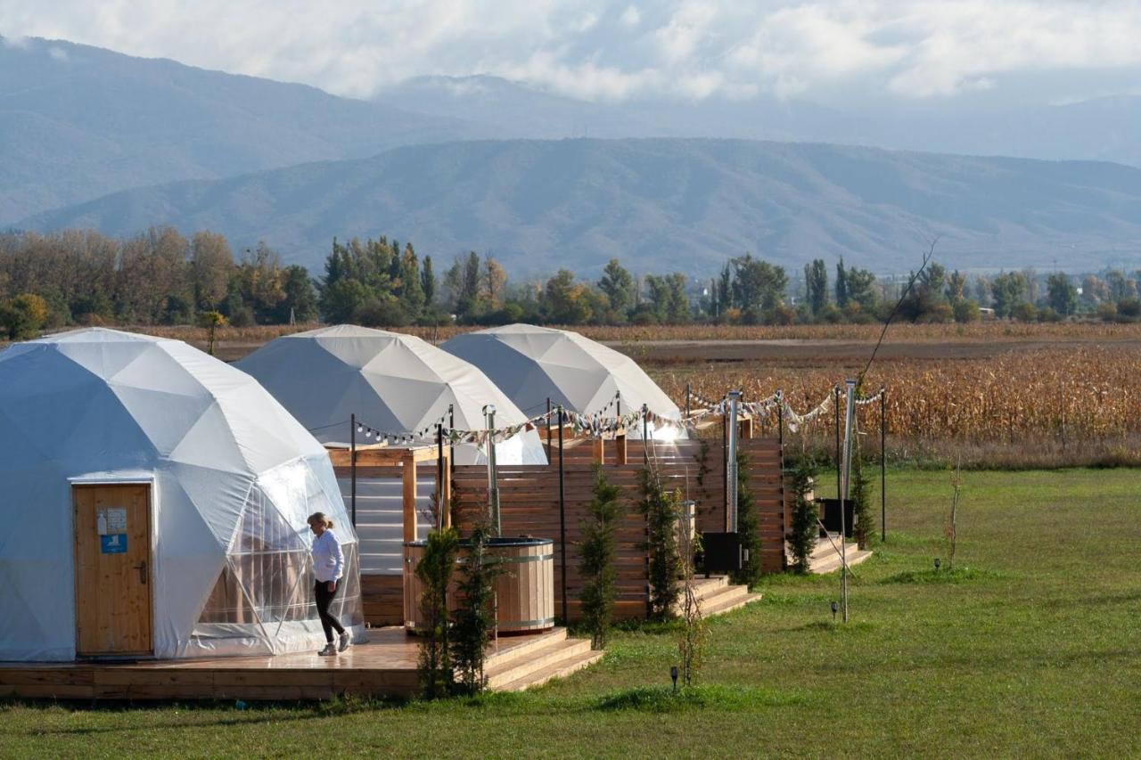 Jewelberry Glamping Hotel Tbilisi Mtsʼkhetʼa Εξωτερικό φωτογραφία