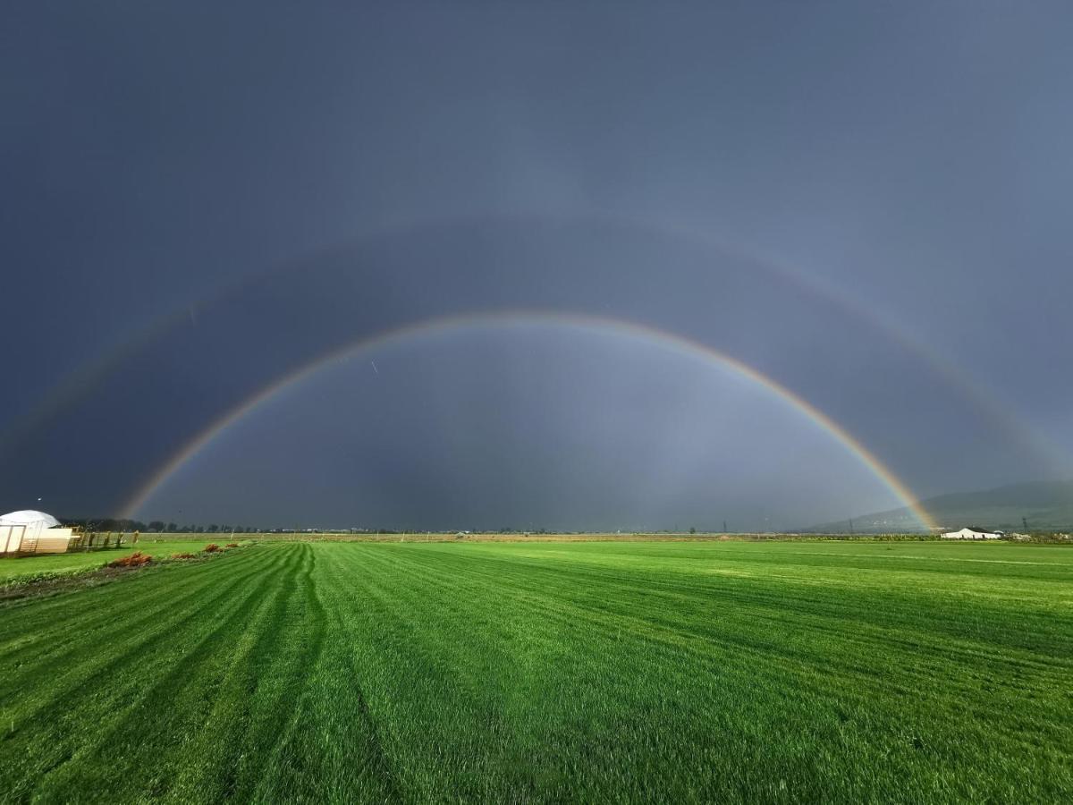 Jewelberry Glamping Hotel Tbilisi Mtsʼkhetʼa Εξωτερικό φωτογραφία