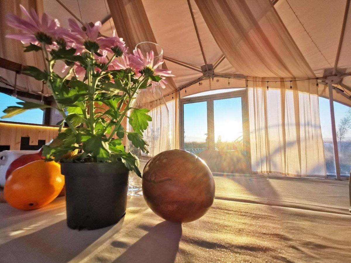 Jewelberry Glamping Hotel Tbilisi Mtsʼkhetʼa Εξωτερικό φωτογραφία
